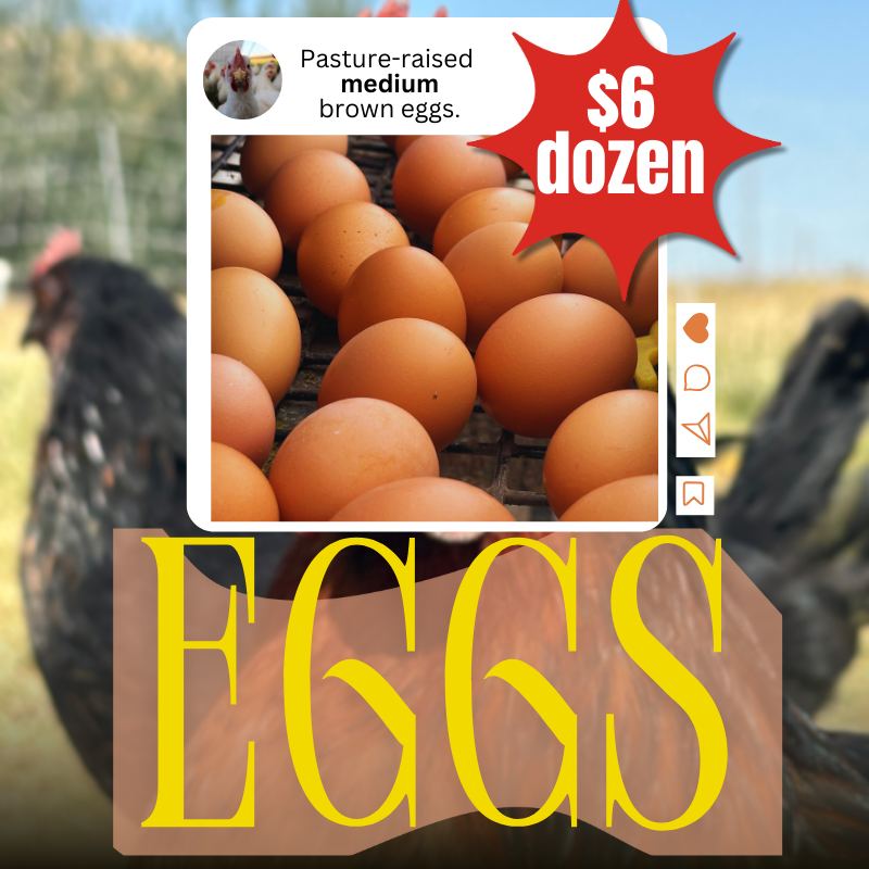 Pasture-Raised Eggs